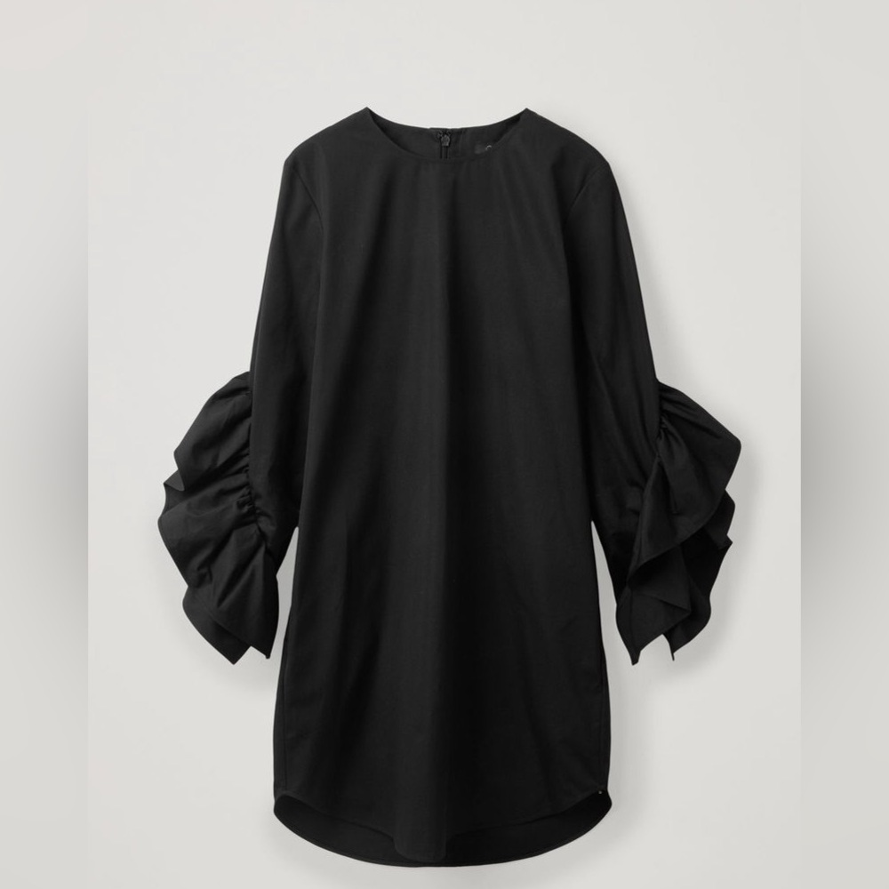 COS Dress With Sleeve Ruffles size 2 - Picture 2 of 6